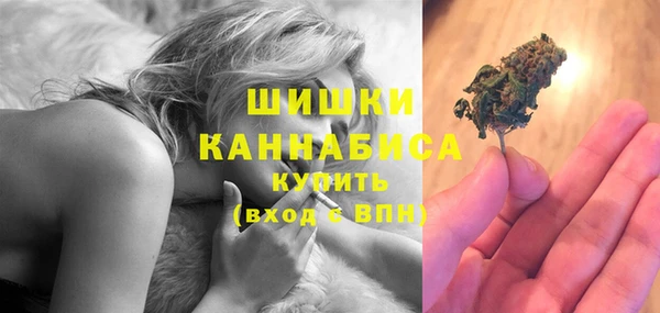 шишки Алзамай