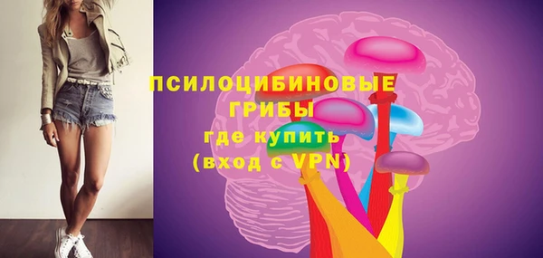шишки Алзамай