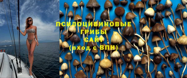 шишки Алзамай