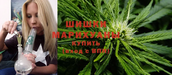 шишки Алзамай