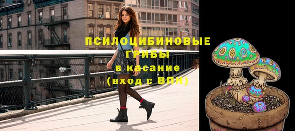 шишки Алзамай