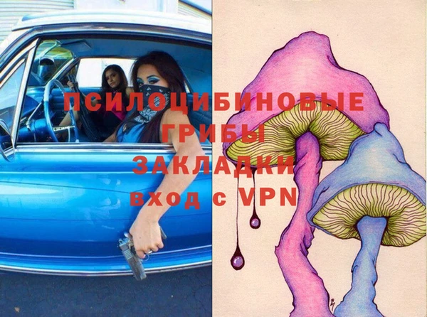 шишки Алзамай