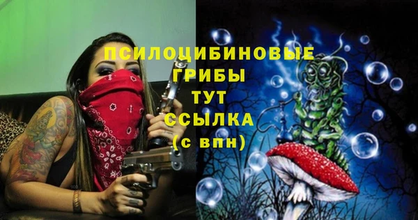шишки Алзамай