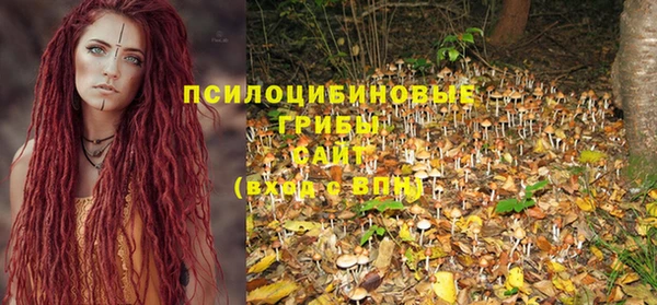 шишки Алзамай