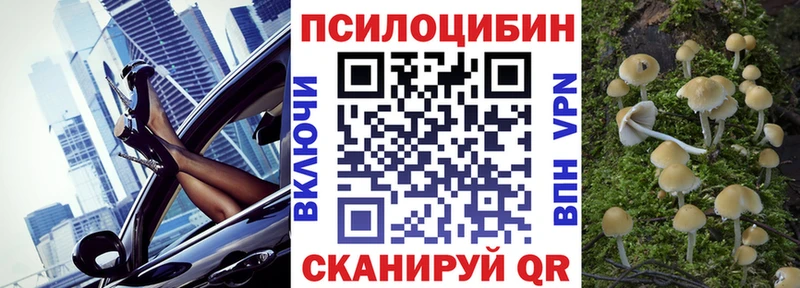 Псилоцибиновые грибы Psilocybine cubensis  Железногорск-Илимский 