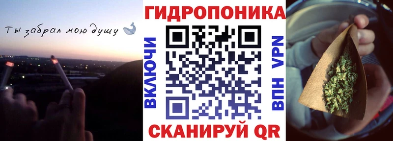 mega tor Железногорск-Илимский Канабис сатива